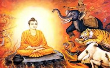 Người phóng dật và bậc tự điều